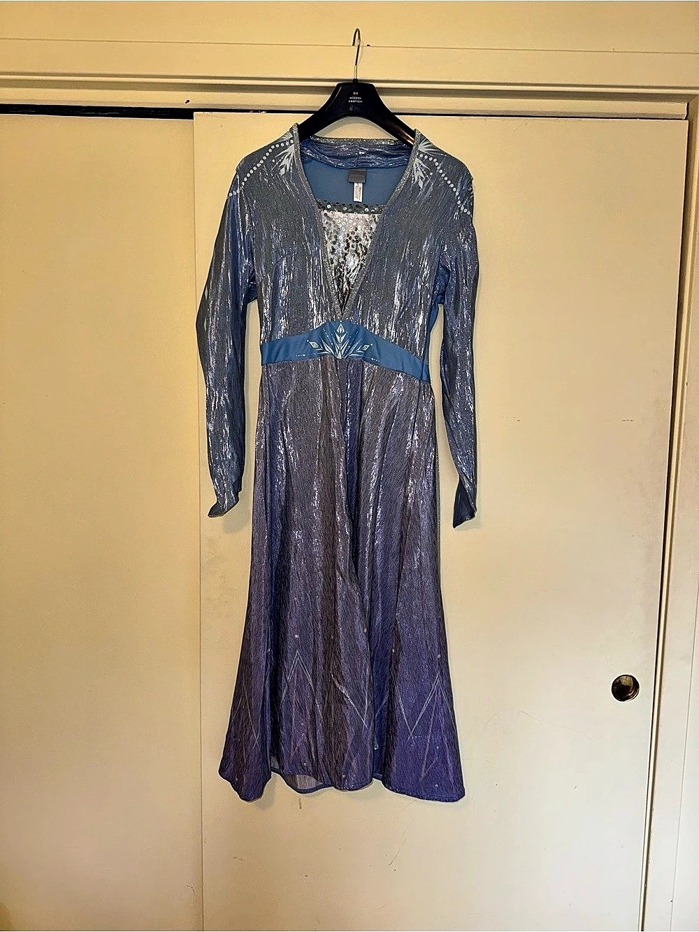 Disney Frozen 2 Elsa Spirit / Epilogue Dress Costume Dress Blue & Purple Adult M